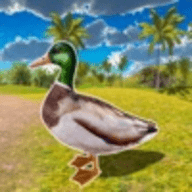 飞行鸭子生活模拟器游戏下载