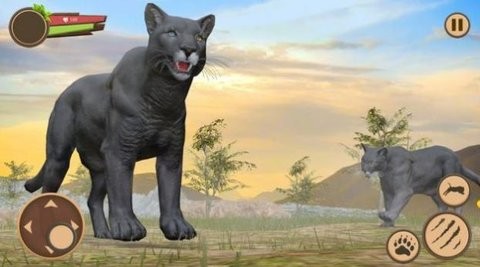 黑豹野外生存模拟游戏下载