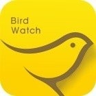 小鸟观映app安卓版下载