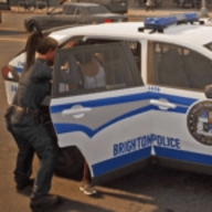 警察模拟巡逻办公室游戏下载
