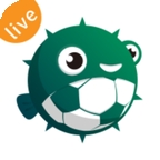 河豚直播体育app下载安卓版