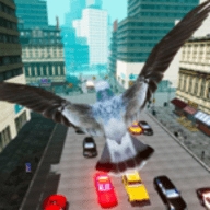 鸟儿模拟器安卓最新版本