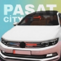 帕萨特汽车之城中文版
