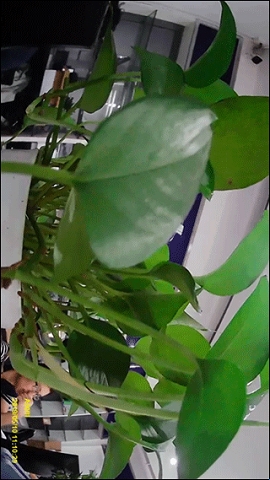 67ff423e9c08d.jpg?imageslim