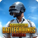 神龙2.8pubg功能obb apk下载